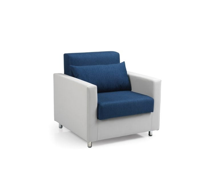 Recliner - Recliner & Accompany Chair