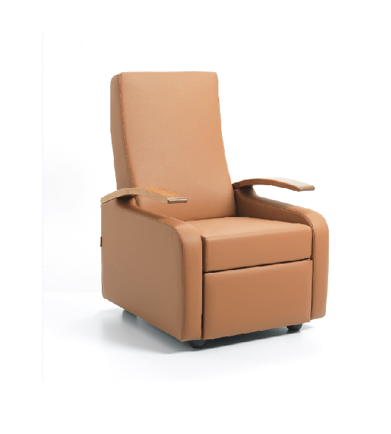 Efes Recliner - Recliner & Accompany Chair